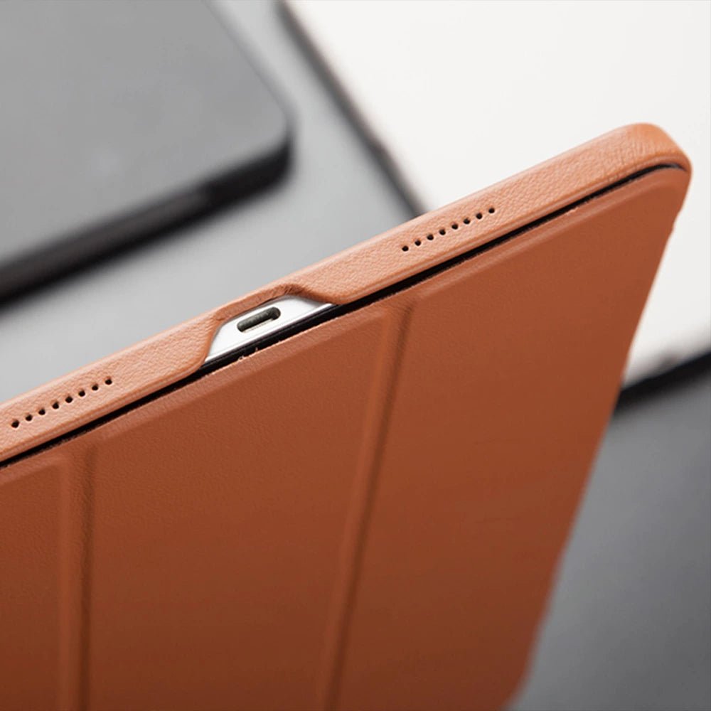 Prosnap Genuine Leather ProSnap iPad Case – Moderno Collections